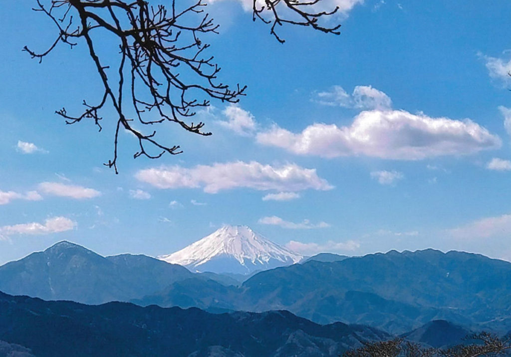 高尾山から富士山を見ながら野点
